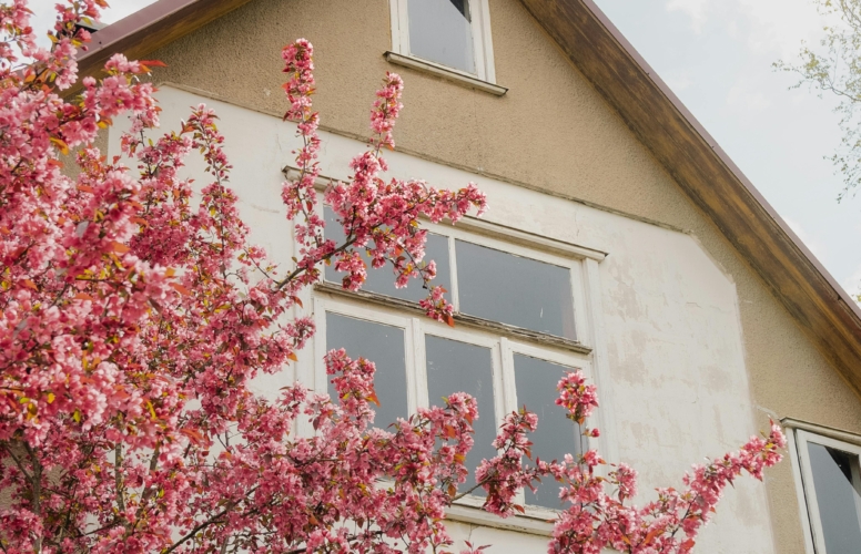 Spring Property MOT: What We Look For and Why It Matters